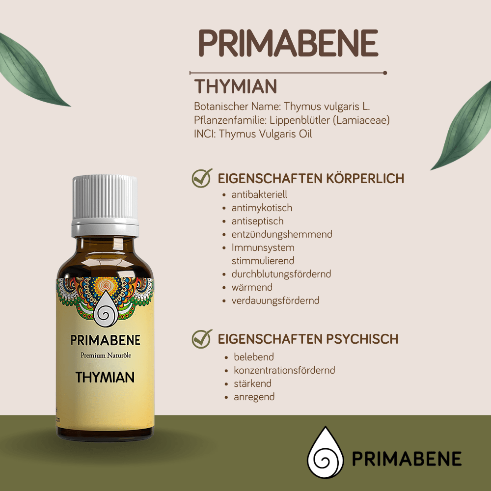 Bild von Thymian, hell DAB6 , 100% rein ätherisches Öl